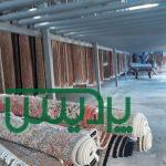 قالیشویی پردیس فاز1