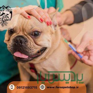 آرایش و شستشوی سگ و‌ گربه