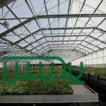 فلنج دنده ای و کور