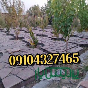 پیمانکاری فروش سنگ لاشه جلالی 09104327465