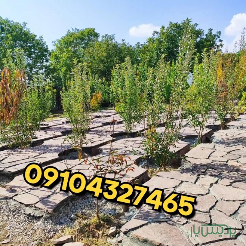 اجرای سنگ لاشه فروش سنگ ورقه ای