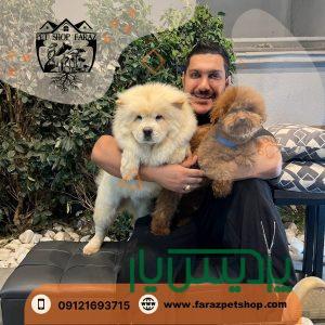 پت شاپ در عظیمیه کرج