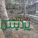 قیمت فروش سنگ لاشه جلالی
